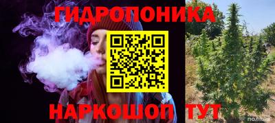 стаф Краснокаменск
