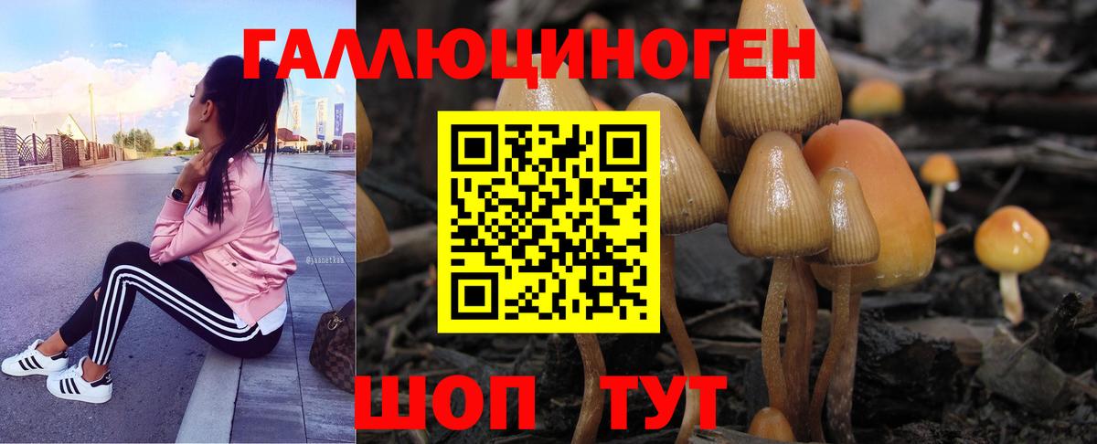 Галлюциногенные грибы прущие грибы Шебекино