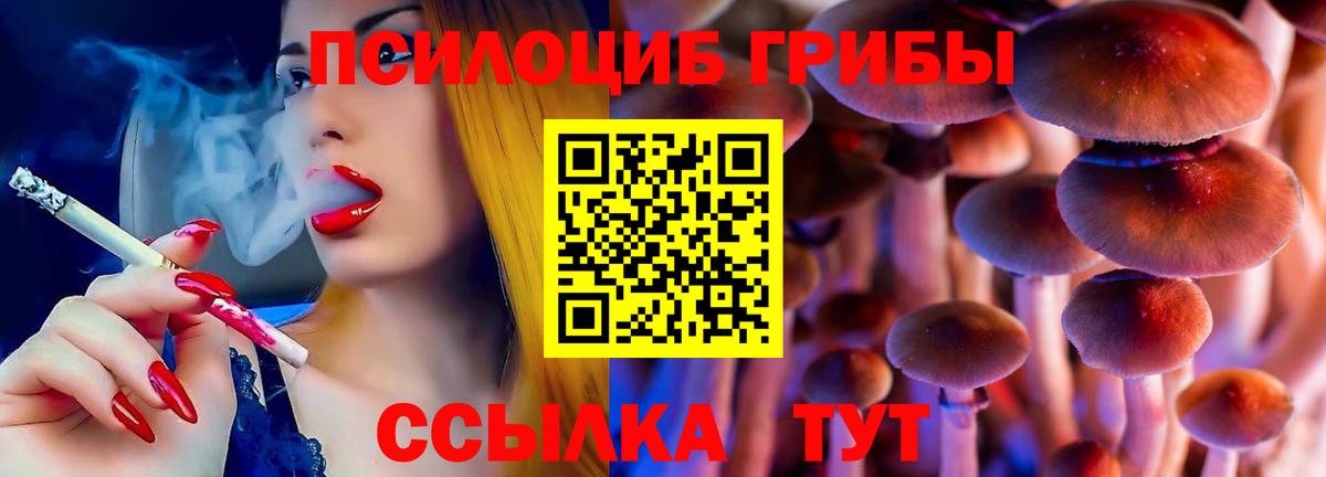Псилоцибиновые грибы мицелий  Псилоцибиновые грибы прущие грибы  Шебекино  Вход с VPN 